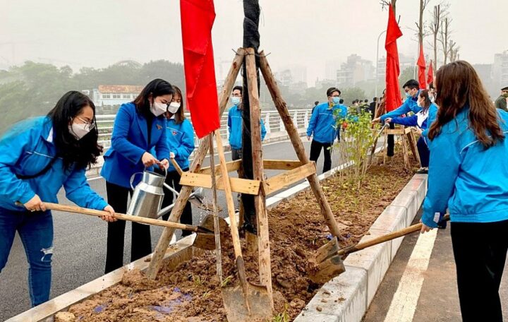 Vì Sao Nên Trồng Nhiều Cây Xanh Để Cải Thiện Môi Trường Sống Toàn Diện