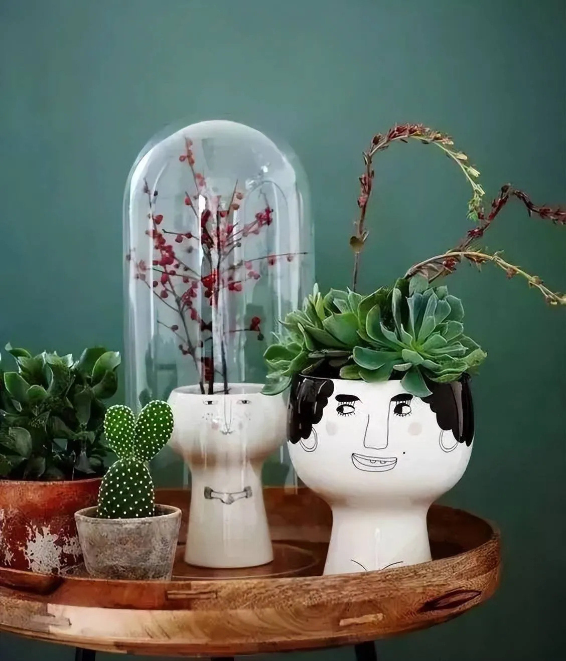 Hai chậu cây cảnh nhỏ xinh xắn đặt trên bàn trà, mang lại tầm nhìn thư giãn trong phòng khách.