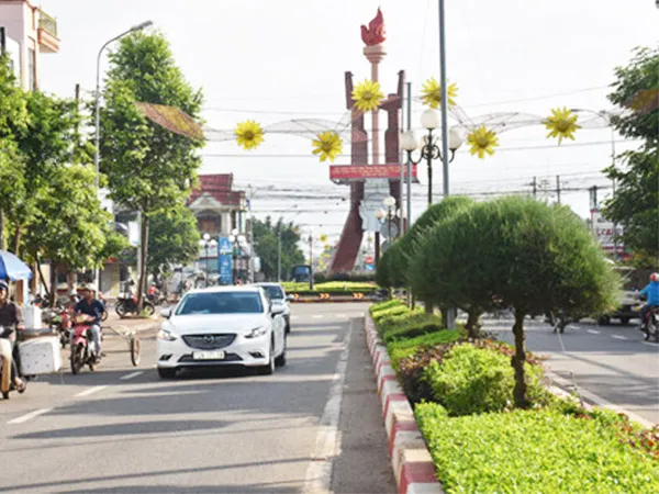 Hàng cây Phi Lao thân gỗ nhỏ trồng dày đặc, tạo bức tường chắn gió và chống lóa hiệu quả