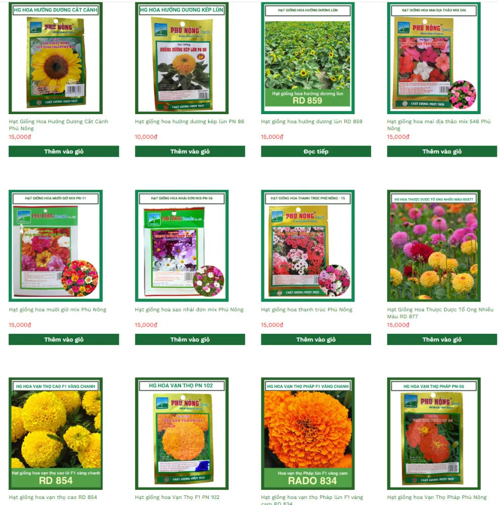 Hạt Giống Hoa cúc chất lượng