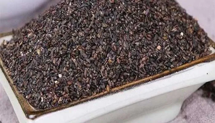 Hạt giống mã đề đã qua kiểm định chất lượng, sẵn sàng cho quy trình gieo trồng