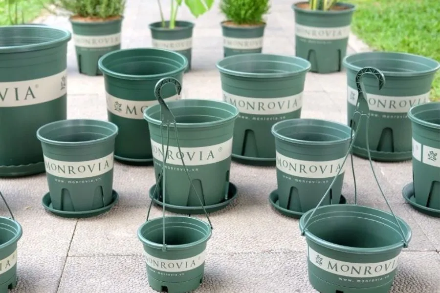 Hệ thống thoát nước (drainage) cho chậu khi trồng cây trên sân thượng