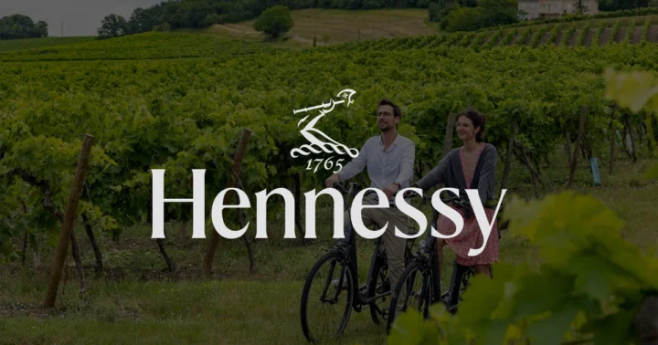 Cách Trồng Và Chăm Sóc Cây Hoa Nhài Đạt Chuẩn Chuyên Gia