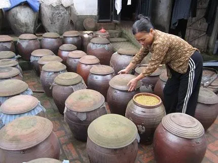 Hình ảnh các loại hạt giống nhỏ như lúa, đậu nành đang được đóng gói và bảo quản trong thùng kín có nắp đậy chắc chắn