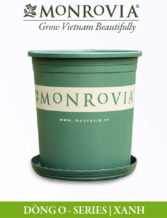 Hình ảnh minh họa một bộ chậu trồng cây Monrovia dòng Đồng Ổ series với màu sắc tối giản