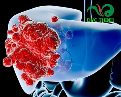 Hình ảnh minh họa một số bệnh lý mà bạch hoa xà thiệt thảo hỗ trợ điều trị