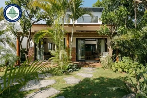 Hình ảnh minh họa những loại cây không nên trồng trước cửa nhà vì lo ngại về phong thủy hoặc rễ lớn