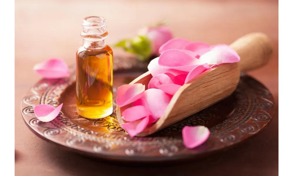 Hoa hồng có nhiều công dụng cho sức khỏe và làm đẹp