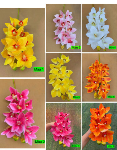 Cách Trồng Hoa Địa Lan Ra Hoa Nhiều, Bông To Đẹp Toàn Diện