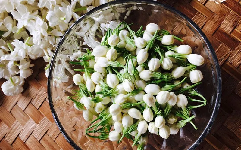 Hoa nhài có lợi ích cho sức khỏe