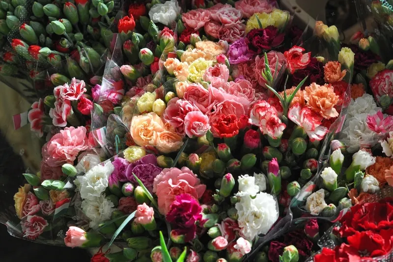 Hoa phăng trắng tinh khiết, biểu tượng sự trung thành