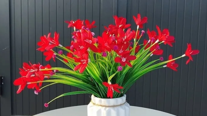 Hoa thủy tiên vàng là màu phổ biến, tượng trưng cho sự thịnh vượng và may mắn.