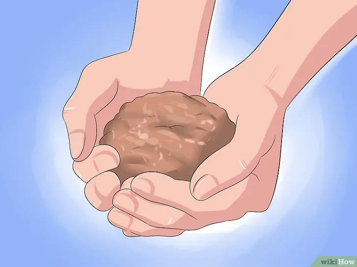 Hỗn hợp đất trồng lý tưởng cho nha đam cần khô và có tính chất cát để rễ phát triển tốt.