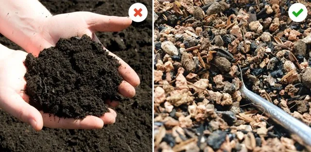Hỗn hợp đất trồng sen đá lý tưởng cần thông thoáng, thoát nước nhanh để rễ cây không bị ngập úng.
