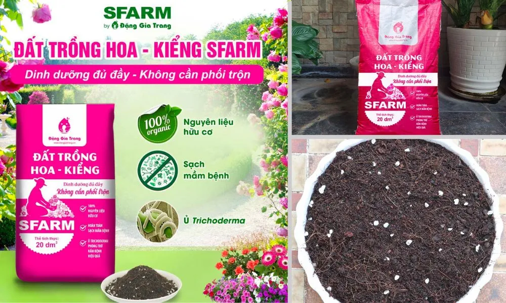 Hỗn Hợp Đất Trồng Tơi Xốp Cho Hoa Tulip Trong Chậu