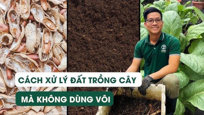 Cách Xử Lý Đất Trước Khi Trồng Cây Đạt Chuẩn Chuyên Gia Cho Mọi Loại Cây Trồng