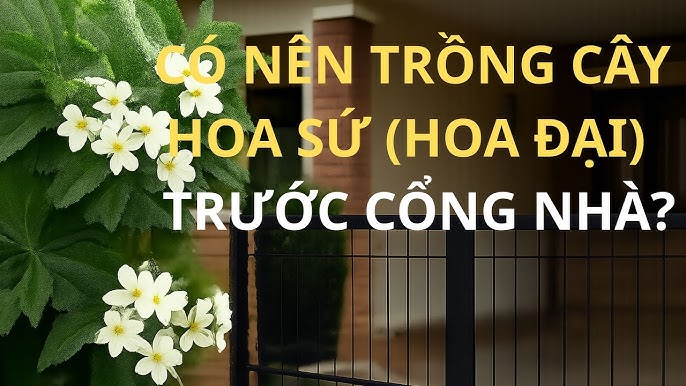 Những Cây Phong Thủy Nên Trồng Trước Nhà Để Đón Tài Lộc