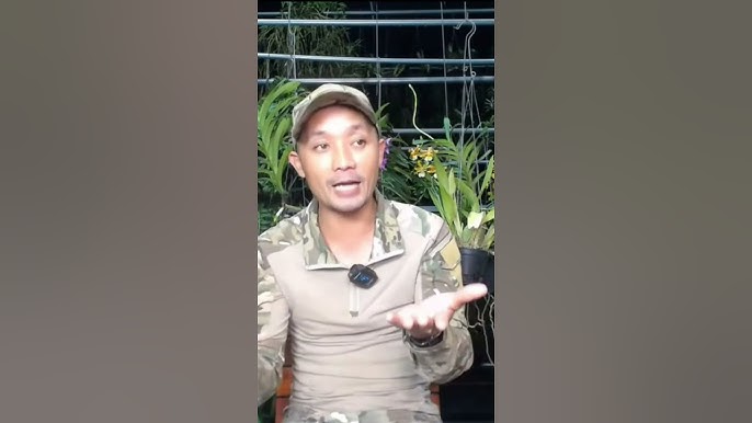 Cách Trồng Các Loại Hoa Lan Đạt Hiệu Quả Cao Cho Người Mới Bắt Đầu