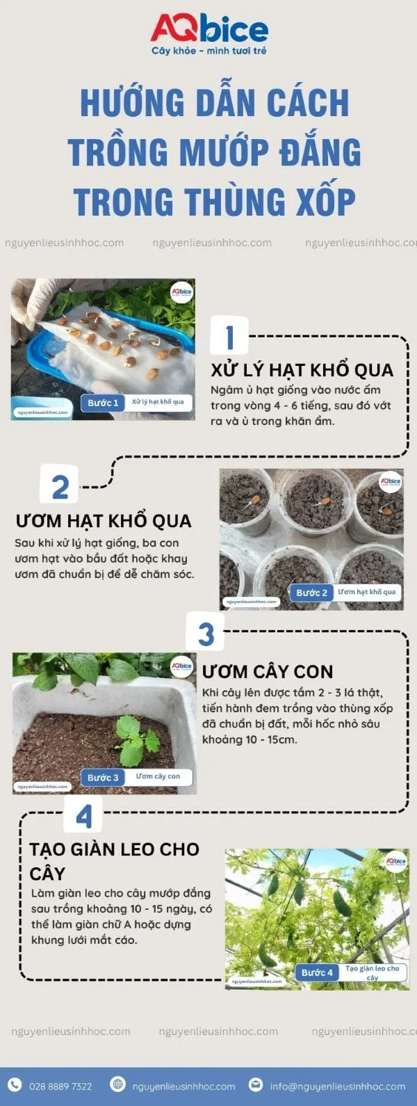 Hướng dẫn chi tiết các bước trồng mướp đắng trong thùng xốp