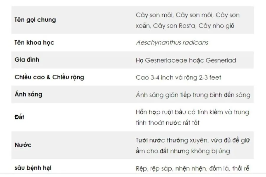 Hướng dẫn trồng và chăm sóc cây son môi nhiệt đới với điều kiện sinh trưởng tối ưu