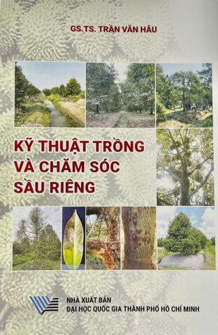 Cách Chăm Bón Cây: Hướng Dẫn Kỹ Thuật Đạt Năng Suất Vượt Trội