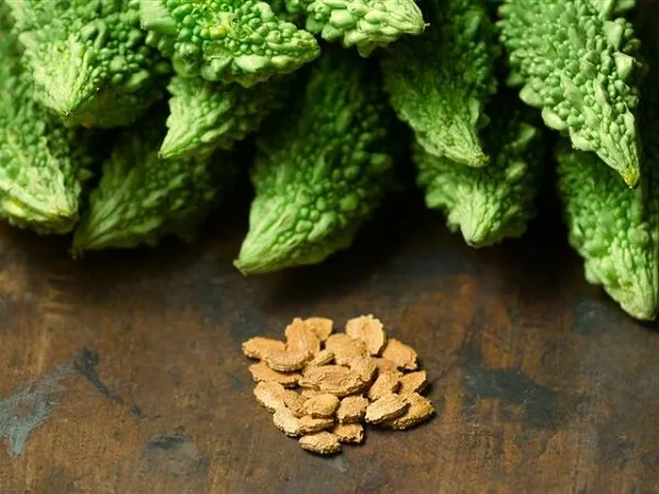 Cách Trồng Hoa Sen Bằng Củ Đạt Năng Suất, Nở Hoa Rực Rỡ Nhất