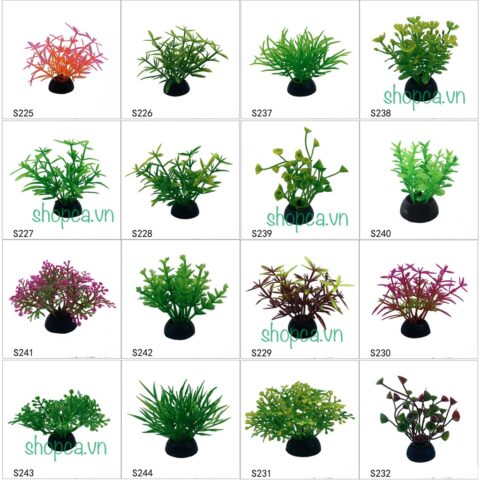 Cách Trồng Cây Thủy Sinh Trong Bể Cá: Hướng Dẫn Toàn Diện Từ A Đến Z Cho Người Mới Bắt Đầu