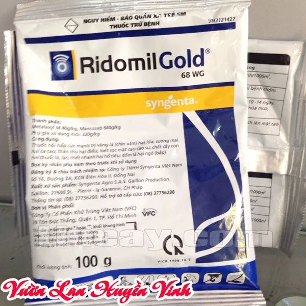 Kết hợp chăm sóc lan đai châu với việc sử dụng Ridomil Gold theo chu kỳ để phòng ngừa bệnh hiệu quả