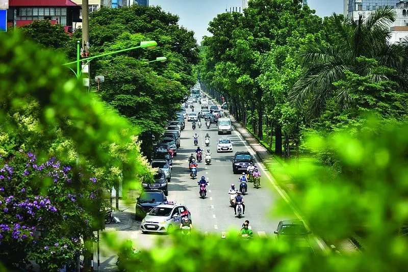 khoảng cách trồng cây xanh đô thị theo Thông tư 20 quy định về cây bóng mát và vỉa hè