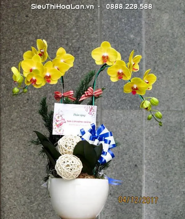 Khói và các loại khí độc sinh ra từ môi trường hoặc trái cây chín sẽ khiến hoa lan hồ điệp nhanh tàn