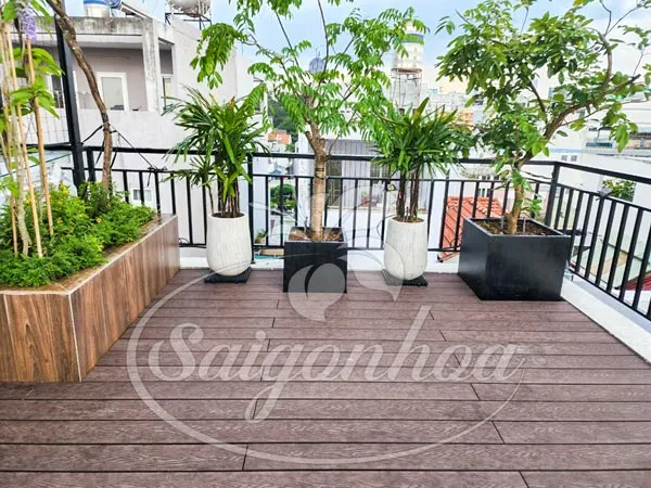 Khu vực trồng cây ăn quả trong chậu trên sân thượng nhà phố