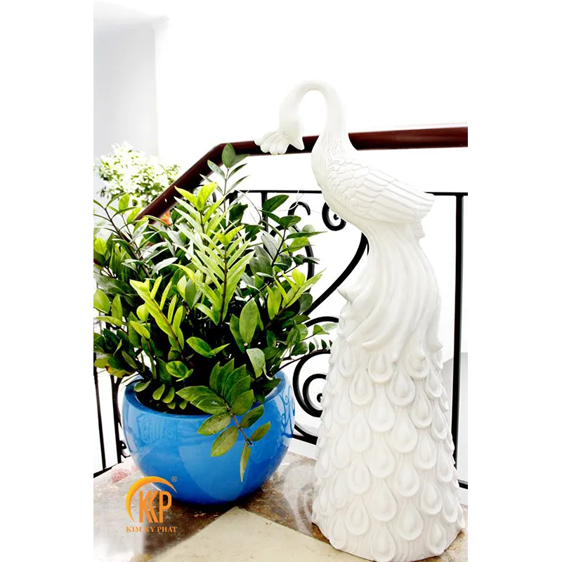 Kiểm tra và vệ sinh lá cây Kim Phát Tài thường xuyên để đảm bảo cây hấp thụ ánh sáng tốt nhất