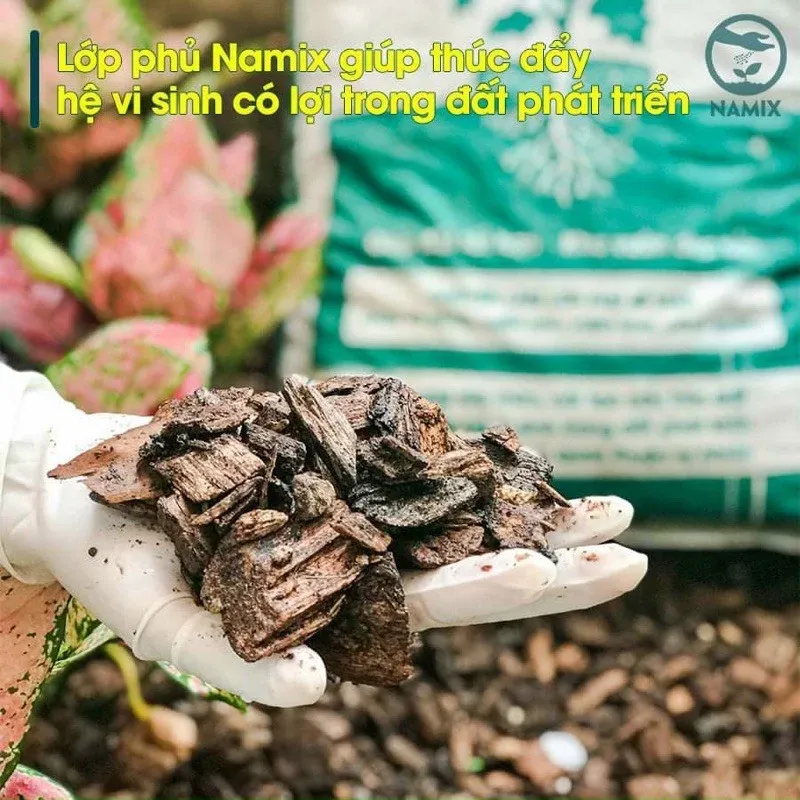 Kỹ thuật bón phân và lớp phủ hữu cơ cho cây đậu biếc