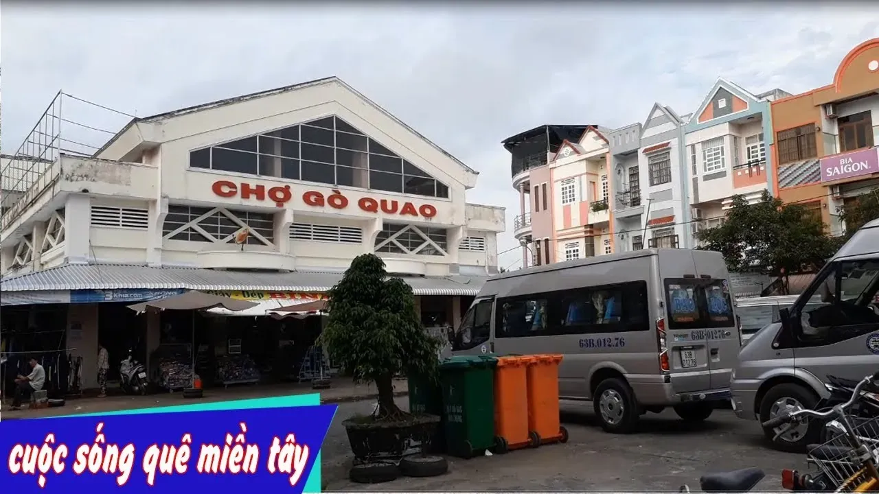 Kỹ thuật cách chăm sóc lan nghinh xuân ra hoa đúng tết đòi hỏi sự tỉ mỉ trong việc kiểm soát bệnh hại