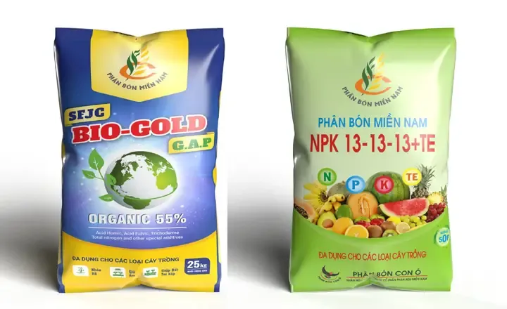 Kỹ thuật chuẩn bị đất và hệ thống giàn cho nho rừng