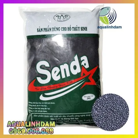 Kỹ thuật gắn Ráy và Dương xỉ vào lũa bằng keo dán thủy sinh