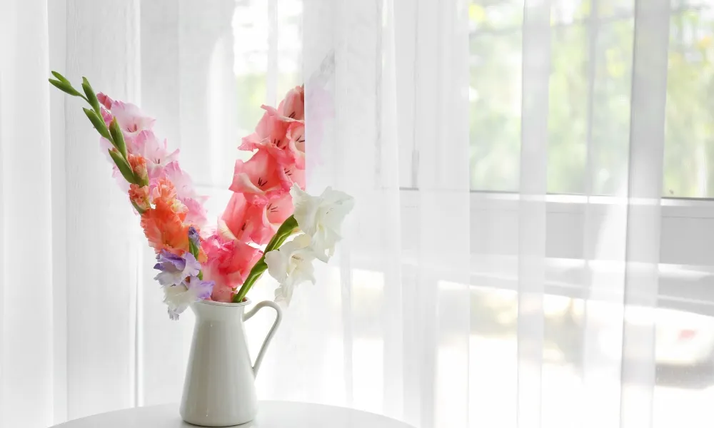 Kỹ thuật giữ hoa lay ơn tươi lâu kéo dài đến 9 ngày