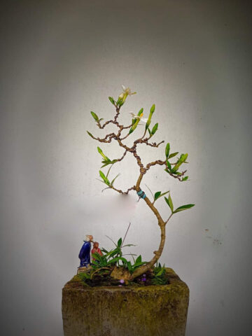 Cách Trồng Cây Hoa Dành Dành Toàn Diện Từ Chăm Sóc Đến Tạo Dáng Bonsai