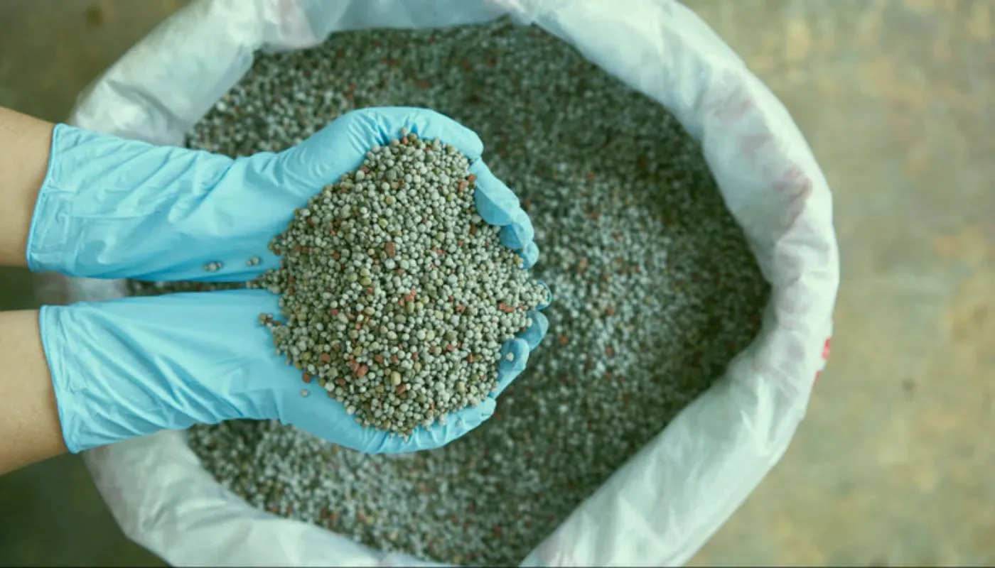 Liều lượng và loại phân bón NPK chuyên dụng cho các giai đoạn phát triển hoa baby