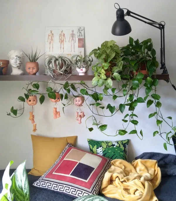 Lợi ích trồng cây cảnh nội thất giúp thanh lọc không khí trong phòng ngủ