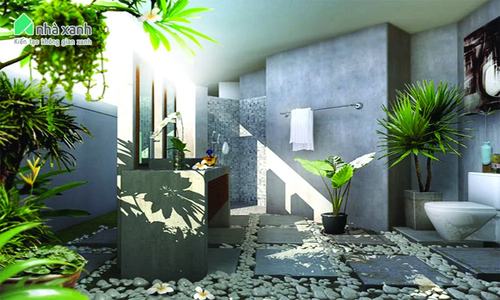 Lựa chọn khu vực ánh sáng cho cây xanh trong nhà