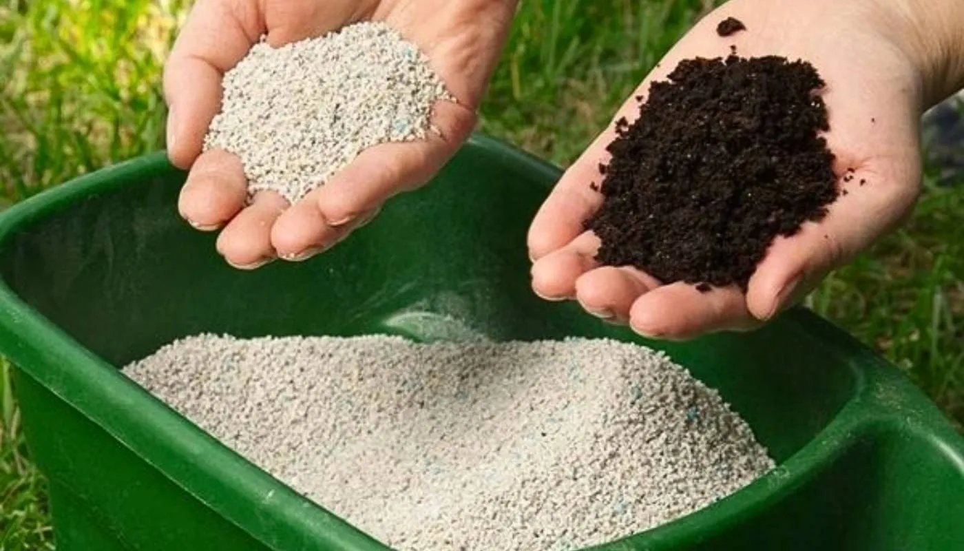 Lựa chọn phân bón phù hợp khi trồng hoa