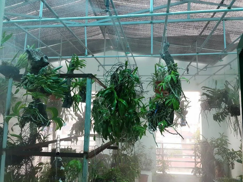 Lưới lan che nắng che mát vườn lan được ưu chuộng sử dụng