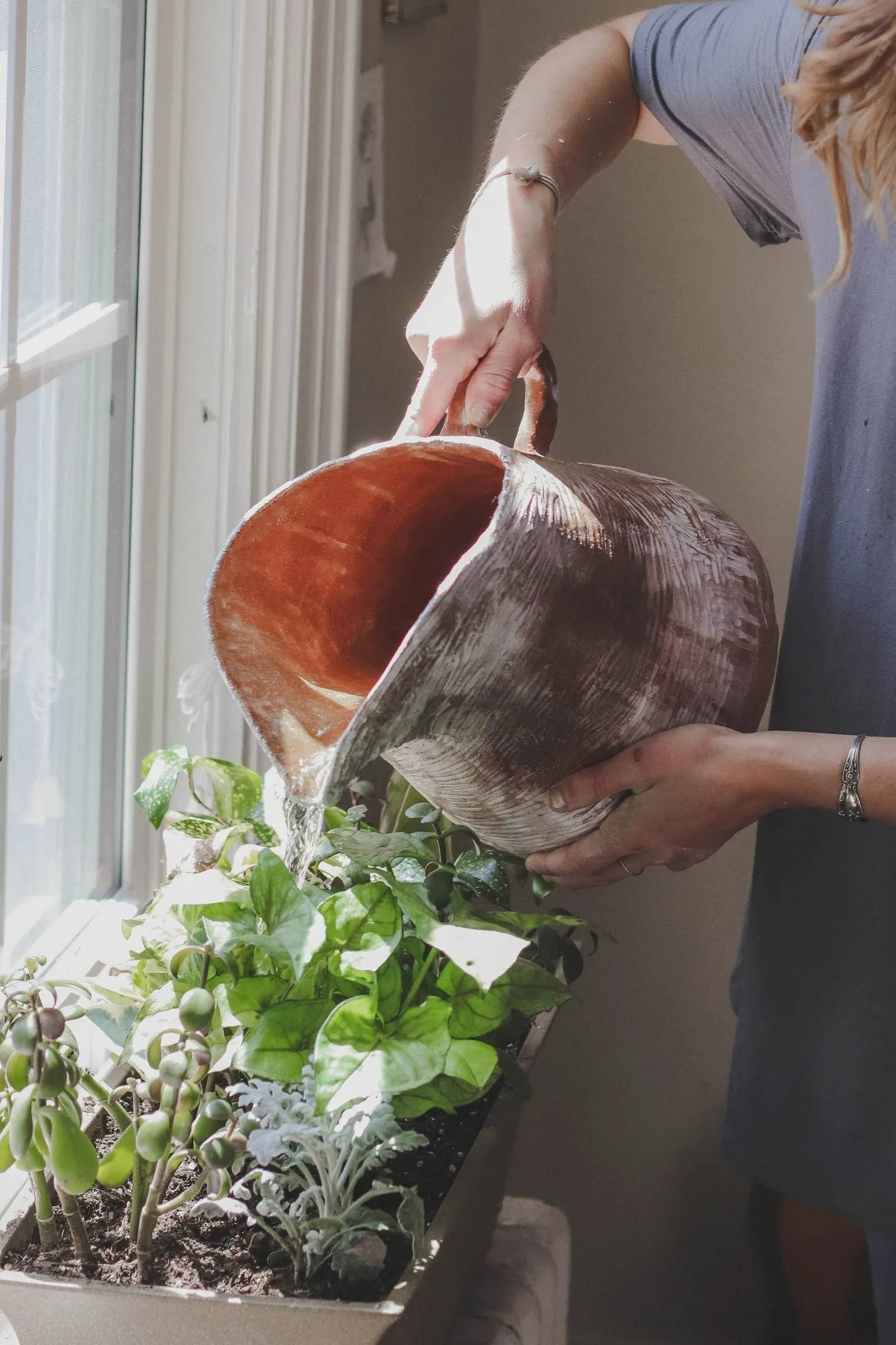 Lượng nước tưới đóng vai trò đặc biệt quan trọng, cần được kiểm soát chặt chẽ đối với cây trồng trong nhà