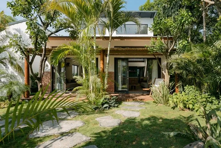 Lưu ý những điều kiêng kỵ khi trồng cây trước cửa nhà như tránh cây có gai, rễ lớn hoặc che khuất cửa