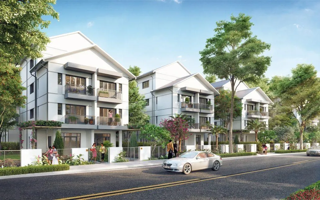 Lưu ý quan trọng khi chọn cây trồng trước nhà để đảm bảo phong thủy hài hòa