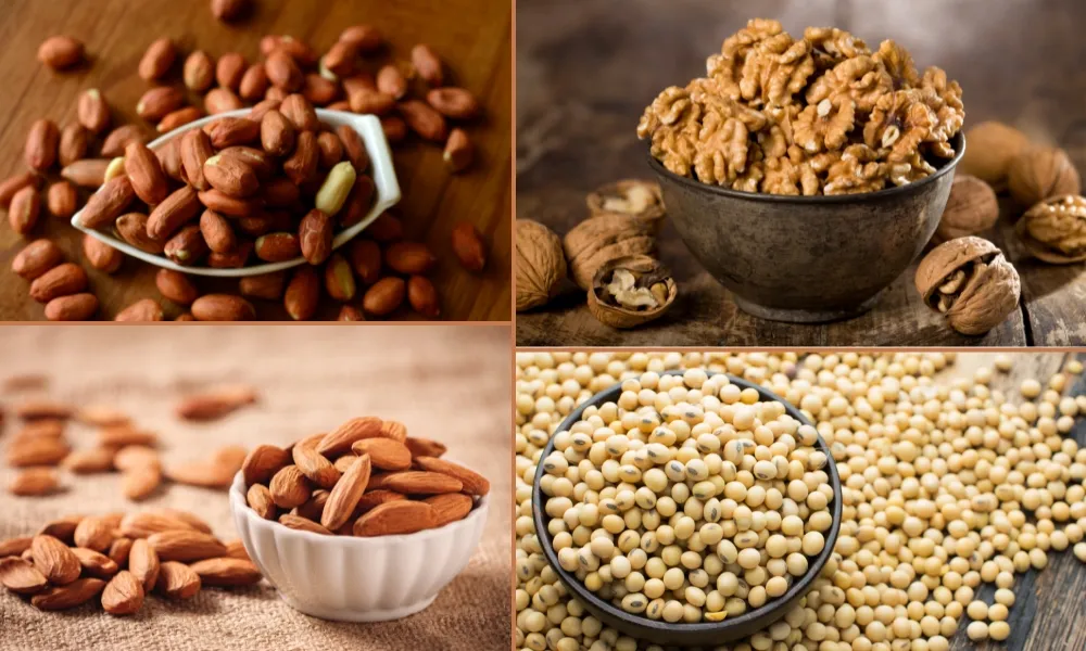 Lưu ý về dinh dưỡng: Các loại hạt chứa phytate nên được chế biến hoặc tránh dùng cùng lúc để tối ưu hấp thu khoáng chất từ cây cải