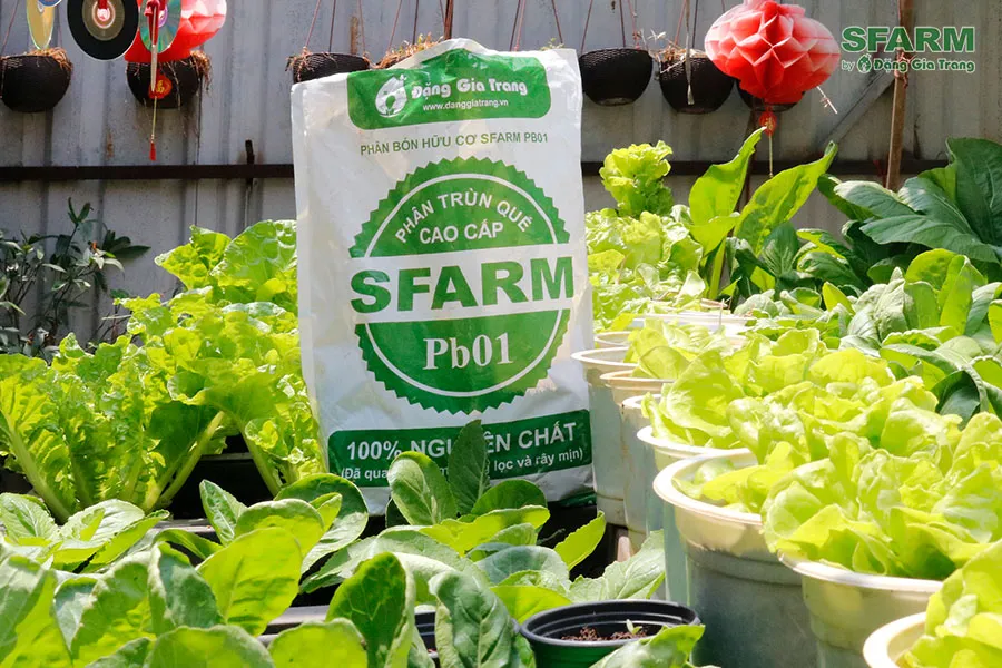 menh thuy nen trong cay gi truoc nha 14