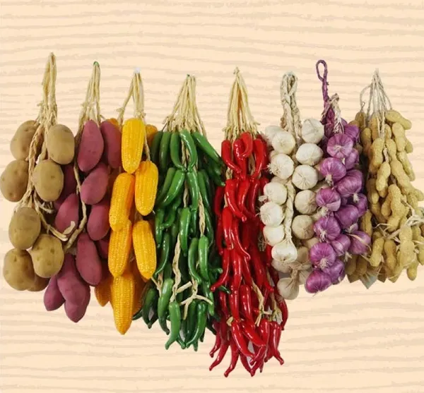 Minh họa các dụng cụ cần đáp ứng khi áp dụng cách bảo quản hạt giống cây trồng: thùng kín khí, không gian khô ráo, hạt được làm khô triệt để