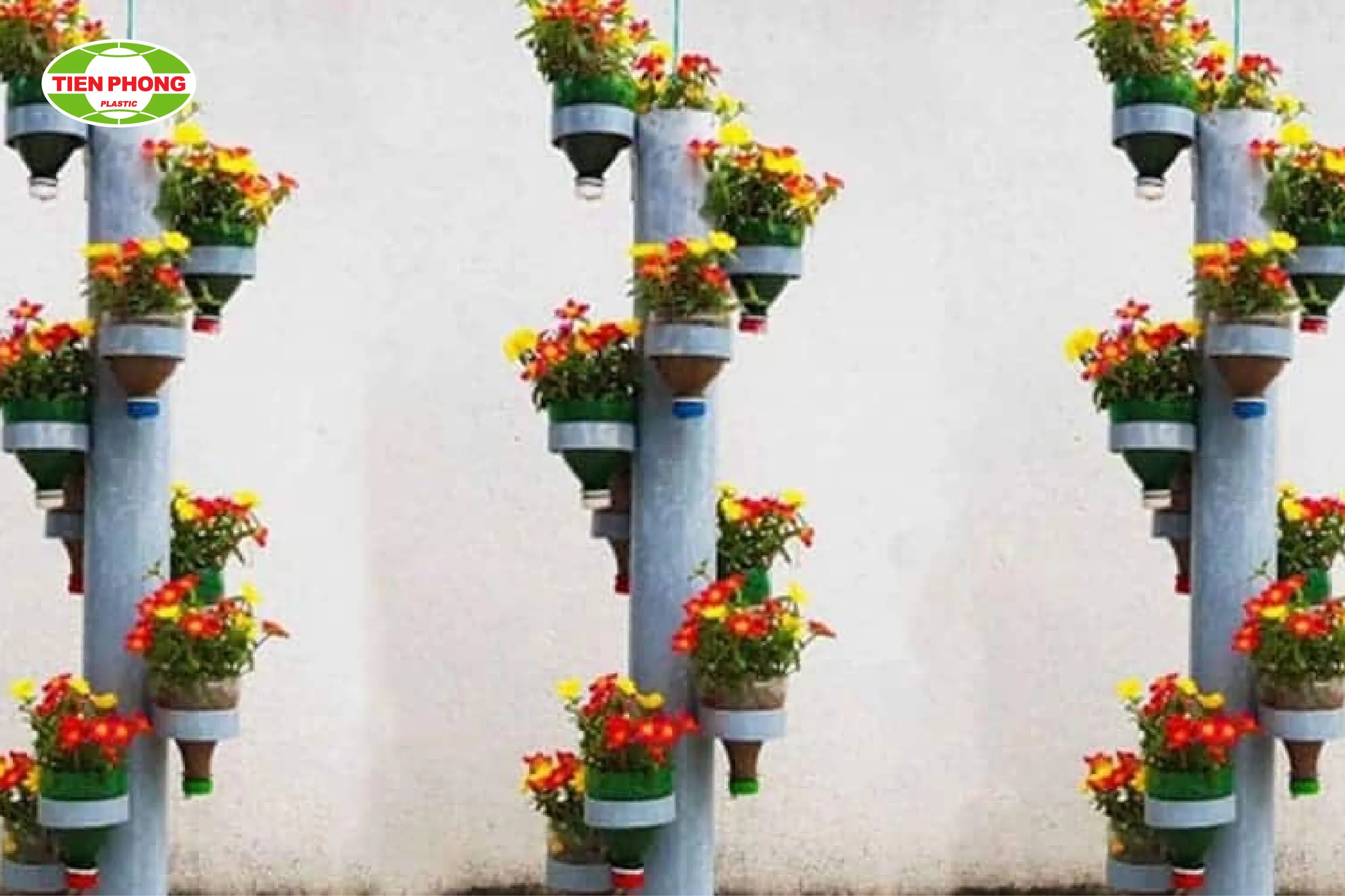 Mô hình tháp hoa mười giờ trồng trong ống nhựa đứng